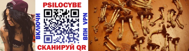 Купить закладки  Наволоки  Псилоцибиновые грибы Psilocybe 