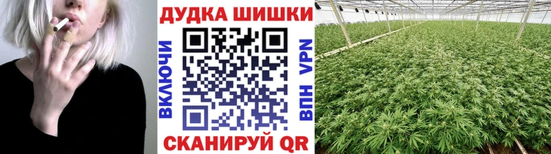 Конопля AK-47  Купить  Наволоки 